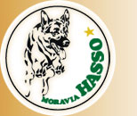 logo Moravia Hasso